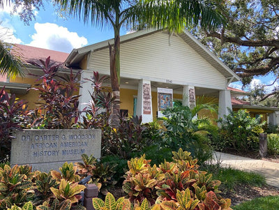 Museum Acquires Majority of BAIA Curated Exhibition