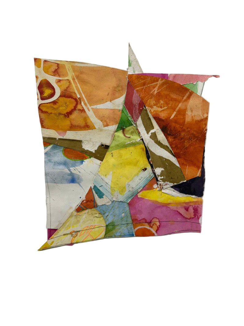 Wright Sr., Jamele, (Brevis 15)