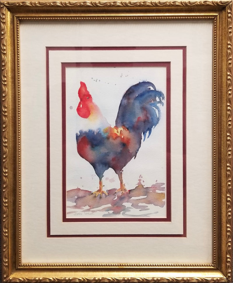 Taylor, James, (Rooster)