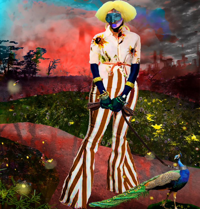 Dorsey, Najee (Peacock On A Leash)
