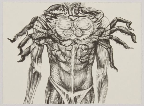 Pacheco, Osmeivy Ortega, (Untitled)